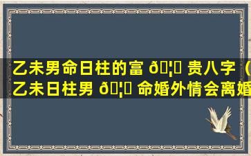 乙未男命日柱的富 🦍 贵八字（乙未日柱男 🦅 命婚外情会离婚吗）